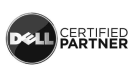Dell Partner Logo